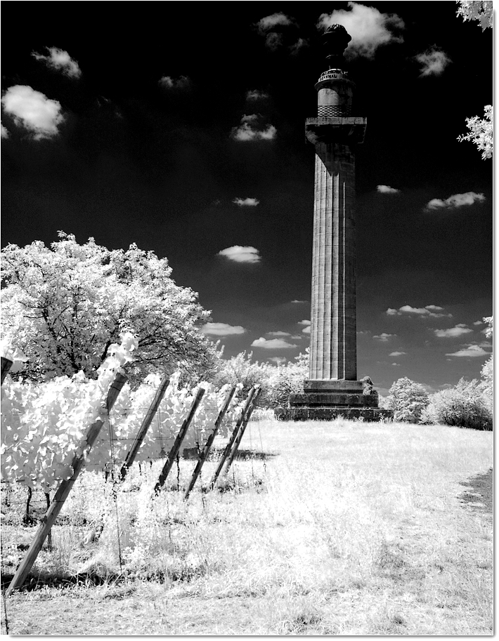 Kontitutionssäule