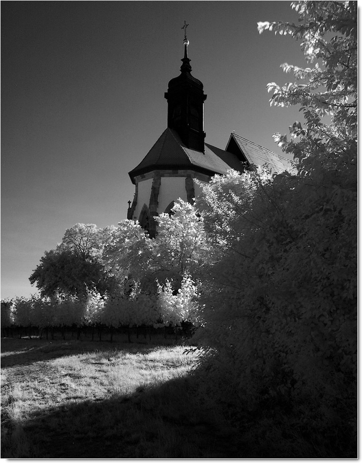 Im Casteller Schlossgarten