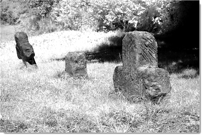 Sühnekreuze bei Burghaslach