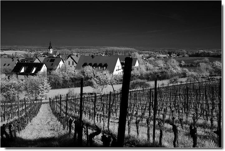 Am Geisberg, Wiesenbronn