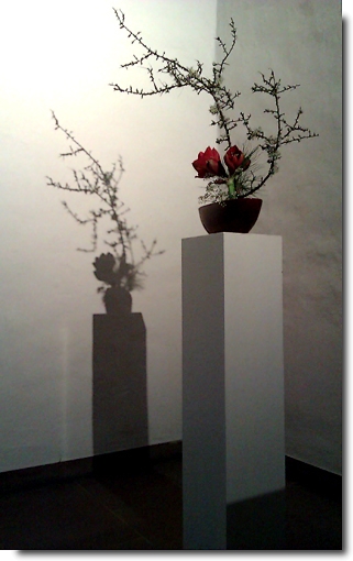 In der Franziskanerkirche