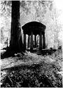 Der&nbsp;Tod&nbsp;und&nbsp;der&nbsp;Lebensbaum...
