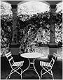 Italianita&nbsp;2,&nbsp;oder&nbsp;auch&nbsp;tea&nbsp;for&nbsp;two...