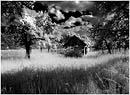 Gartenspuk&nbsp;2