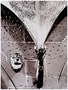 Lith-Print,&nbsp;auf&nbsp;Fomatone+Selentoner